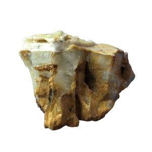 سنگ تزیینی آکواریوم مدل k 1 وزن 1865 گرم